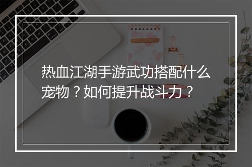 热血江湖手游武功搭配什么宠物?如何提升战斗力?