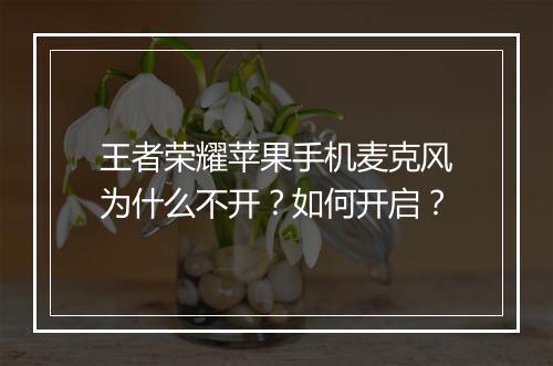 王者荣耀苹果手机麦克风为什么不开？如何开启？