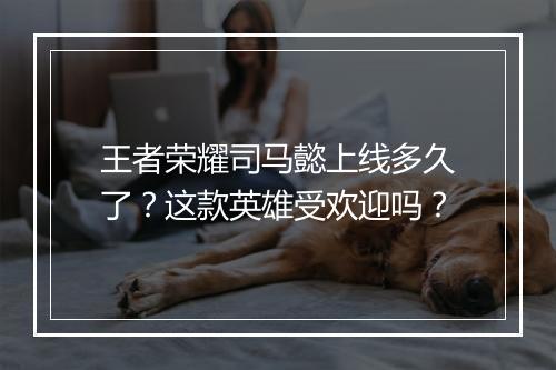 王者荣耀司马懿上线多久了？这款英雄受欢迎吗？