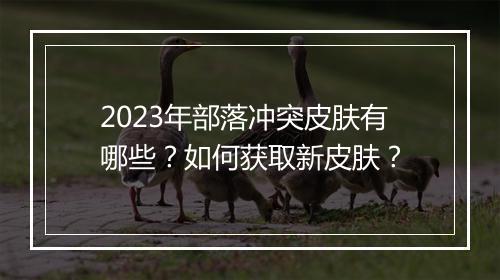 2023年部落冲突皮肤有哪些？如何获取新皮肤？