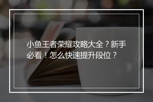 小鱼王者荣耀攻略大全?新手必看!怎么快速提升段位?