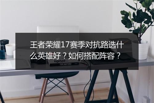 王者荣耀17赛季对抗路选什么英雄好？如何搭配阵容？