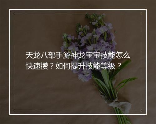 天龙八部手游神龙宝宝技能怎么快速攒？如何提升技能等级？