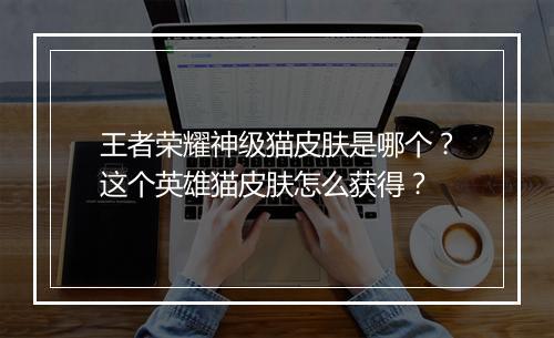 王者荣耀神级猫皮肤是哪个？这个英雄猫皮肤怎么获得？