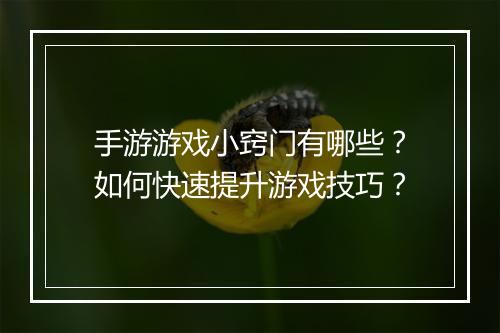 手游游戏小窍门有哪些？如何快速提升游戏技巧？