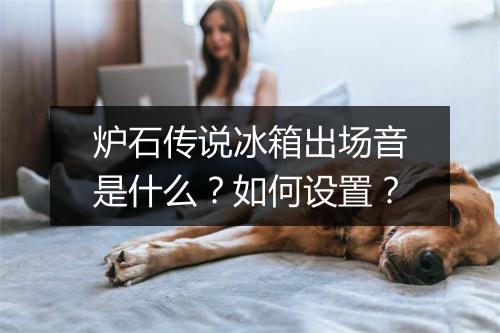 炉石传说冰箱出场音是什么？如何设置？