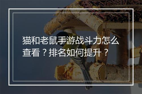 猫和老鼠手游战斗力怎么查看？排名如何提升？