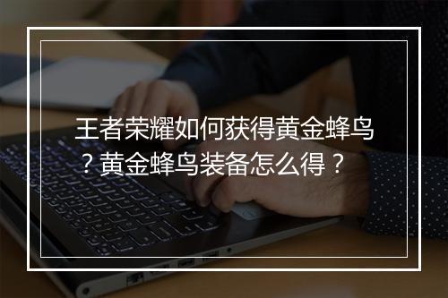 王者荣耀如何获得黄金蜂鸟？黄金蜂鸟装备怎么得？