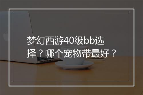 梦幻西游40级bb选择？哪个宠物带最好？