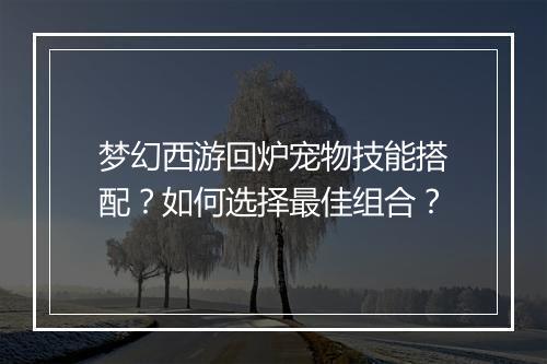 梦幻西游回炉宠物技能搭配？如何选择最佳组合？