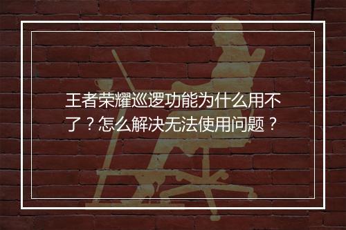 王者荣耀巡逻功能为什么用不了？怎么解决无法使用问题？