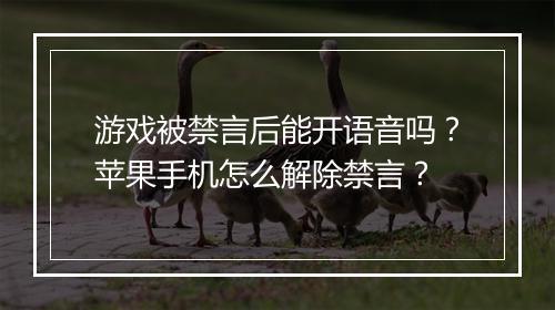 游戏被禁言后能开语音吗？苹果手机怎么解除禁言？