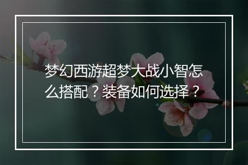 梦幻西游超梦大战小智怎么搭配？装备如何选择？
