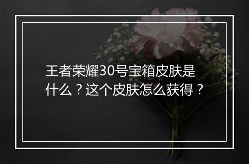 王者荣耀30号宝箱皮肤是什么?这个皮肤怎么获得?