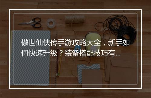傲世仙侠传手游攻略大全，新手如何快速升级？装备搭配技巧有哪些？