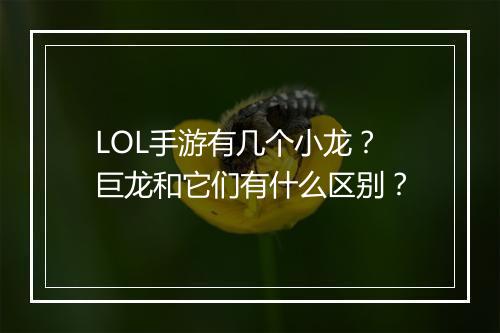 LOL手游有几个小龙？巨龙和它们有什么区别？