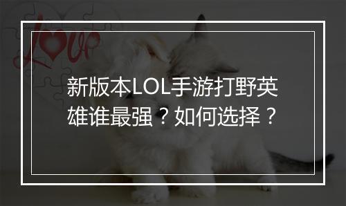新版本LOL手游打野英雄谁最强?如何选择?