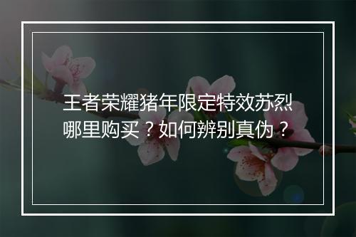 王者荣耀猪年限定特效苏烈哪里购买？如何辨别真伪？
