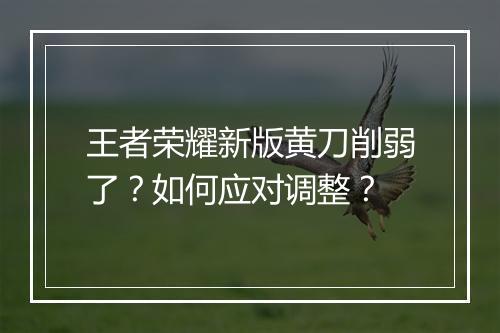 王者荣耀新版黄刀削弱了？如何应对调整？
