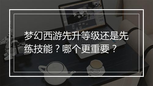 梦幻西游先升等级还是先练技能?哪个更重要?