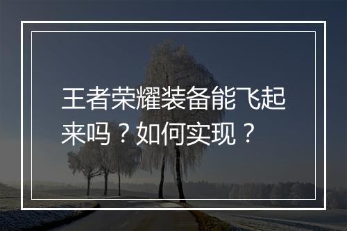 王者荣耀装备能飞起来吗？如何实现？