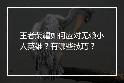 王者荣耀如何应对无赖小人英雄？有哪些技巧？