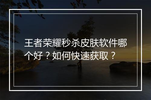 王者荣耀秒杀皮肤软件哪个好?如何快速获取?