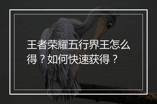 王者荣耀五行界王怎么得?如何快速获得?