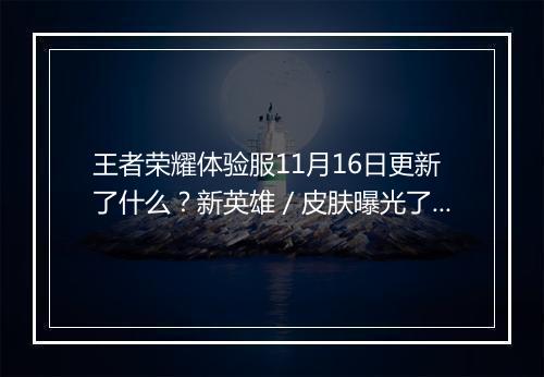 王者荣耀体验服11月16日更新了什么？新英雄／皮肤曝光了吗？