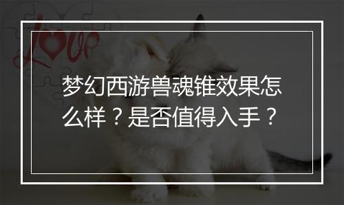 梦幻西游兽魂锥效果怎么样？是否值得入手？
