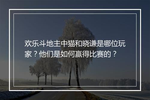 欢乐斗地主中猫和晓谦是哪位玩家?他们是如何赢得比赛的?