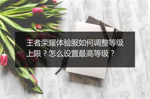 王者荣耀体验服如何调整等级上限？怎么设置最高等级？