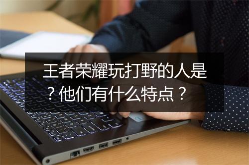 王者荣耀玩打野的人是？他们有什么特点？