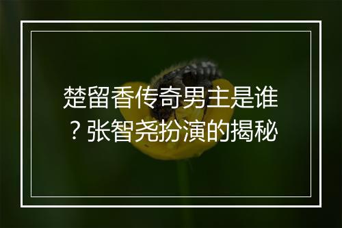 楚留香传奇男主是谁？张智尧扮演的揭秘
