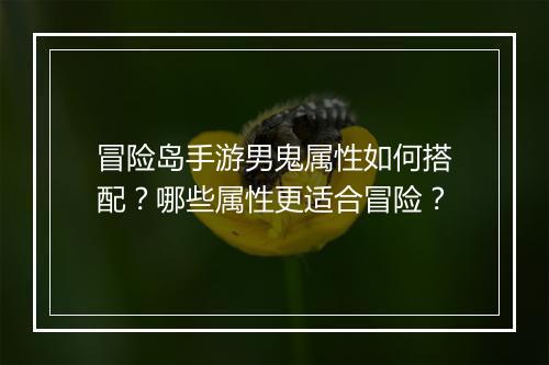 冒险岛手游男鬼属性如何搭配？哪些属性更适合冒险？