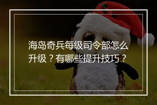 海岛奇兵每级司令部怎么升级？有哪些提升技巧？