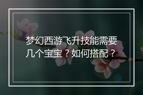 梦幻西游飞升技能需要几个宝宝?如何搭配?