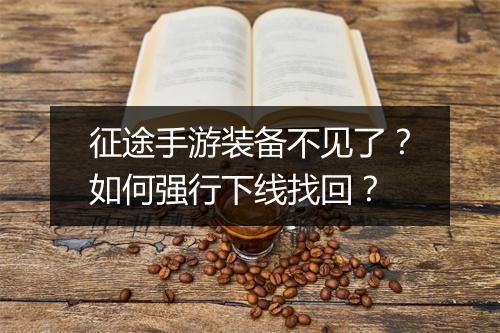 征途手游装备不见了？如何强行下线找回？