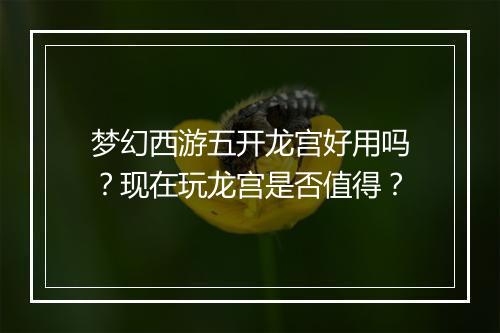 梦幻西游五开龙宫好用吗？现在玩龙宫是否值得？