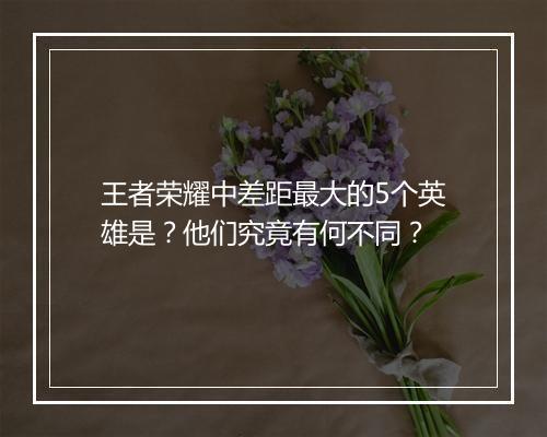 王者荣耀中差距最大的5个英雄是？他们究竟有何不同？