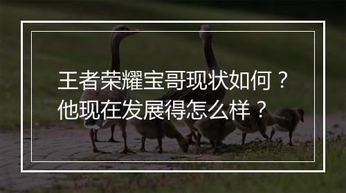 王者荣耀宝哥现状如何？他现在发展得怎么样？
