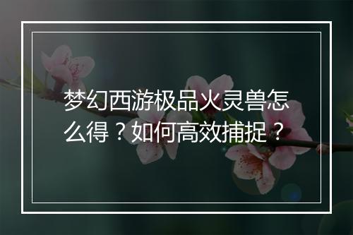 梦幻西游极品火灵兽怎么得?如何高效捕捉?