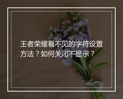 王者荣耀看不见的字符设置方法?如何关闭不显示?