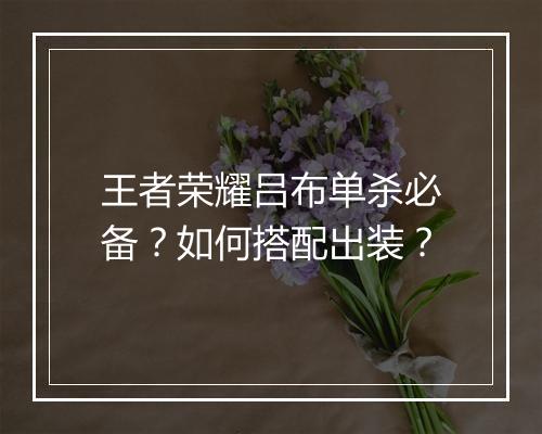 王者荣耀吕布单杀必备？如何搭配出装？