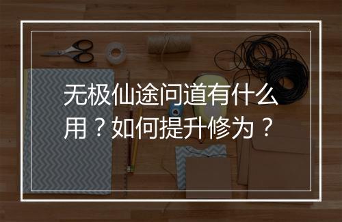 无极仙途问道有什么用？如何提升修为？