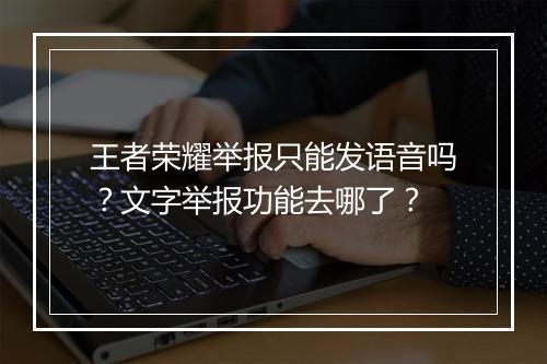 王者荣耀举报只能发语音吗？文字举报功能去哪了？