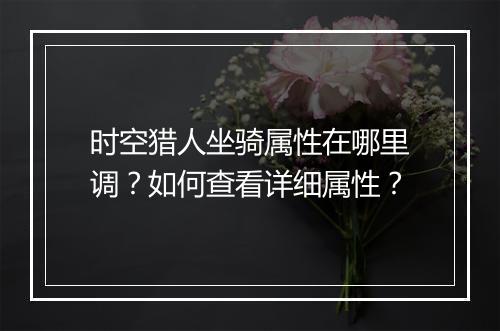 时空猎人坐骑属性在哪里调？如何查看详细属性？