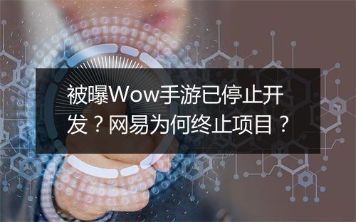 被曝Wow手游已停止开发？网易为何终止项目？