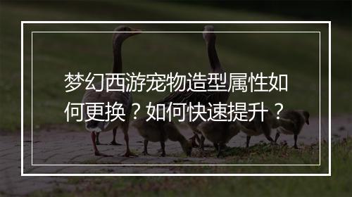 梦幻西游宠物造型属性如何更换?如何快速提升?