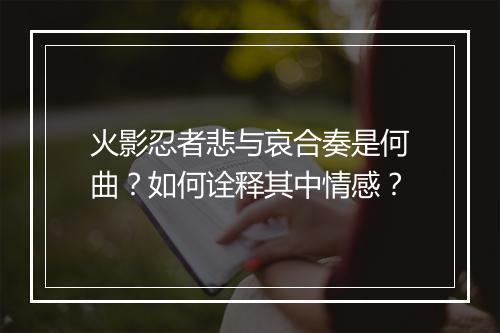 火影忍者悲与哀合奏是何曲？如何诠释其中情感？